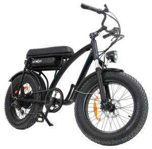 Windgoo F5 FatBike mat zwart - Afbeelding 3